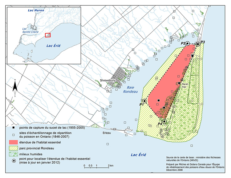 Carte 3 : habitat essentiel du sucet de lac dans la baie Rondeau